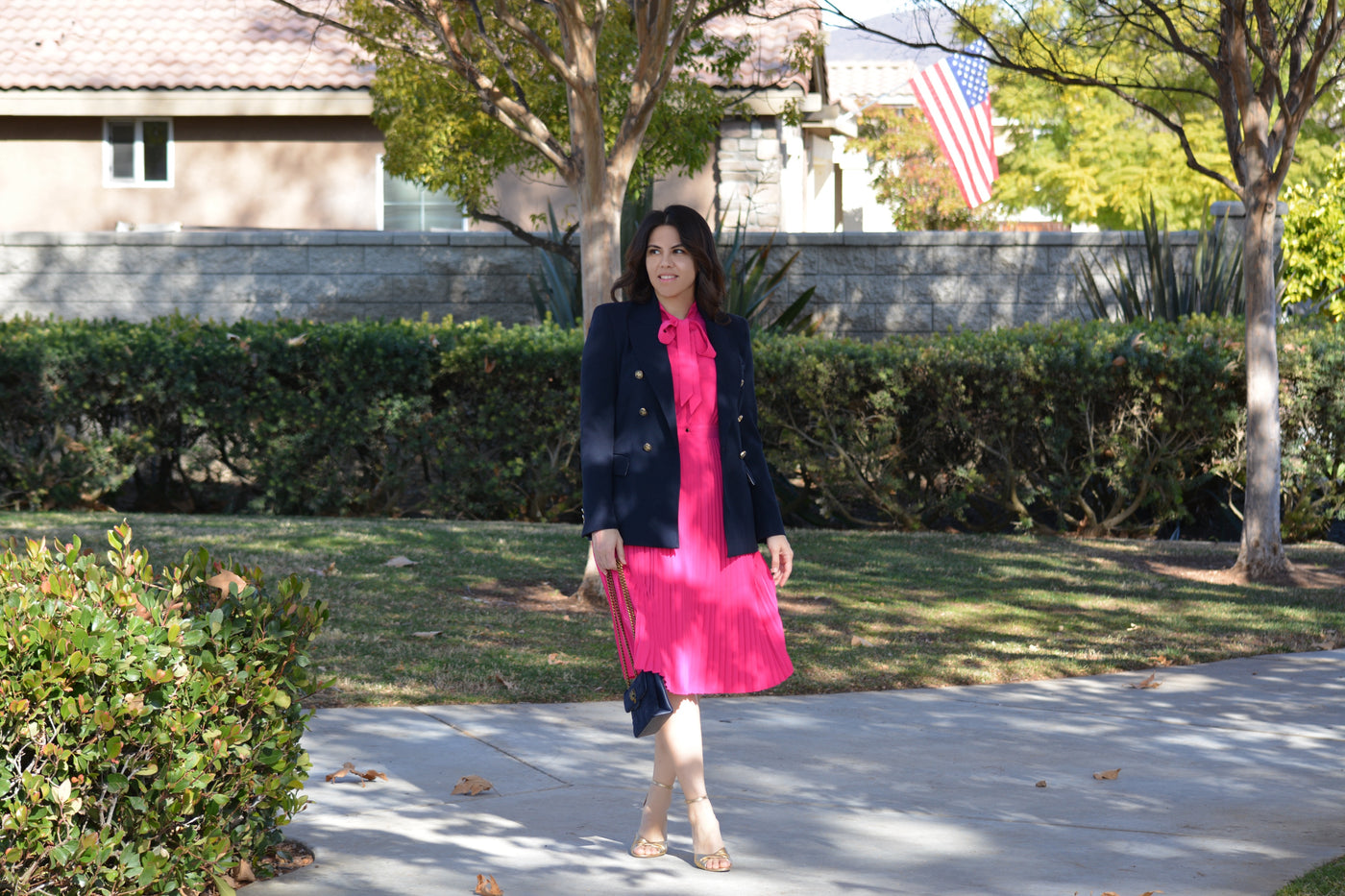 Britain Fuchsia Pink Dress