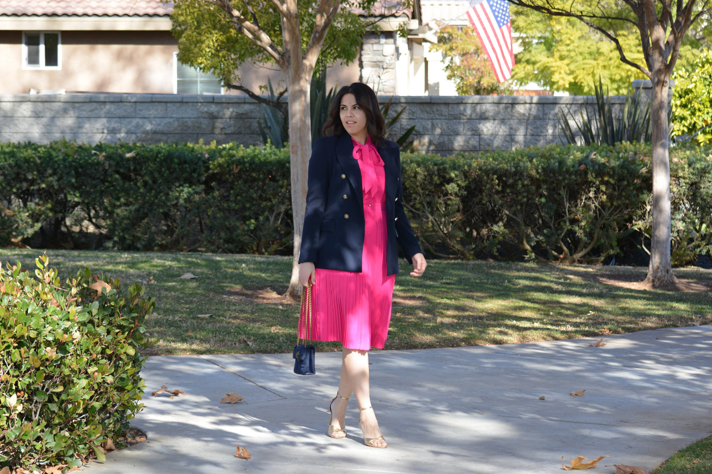 Britain Fuchsia Pink Dress