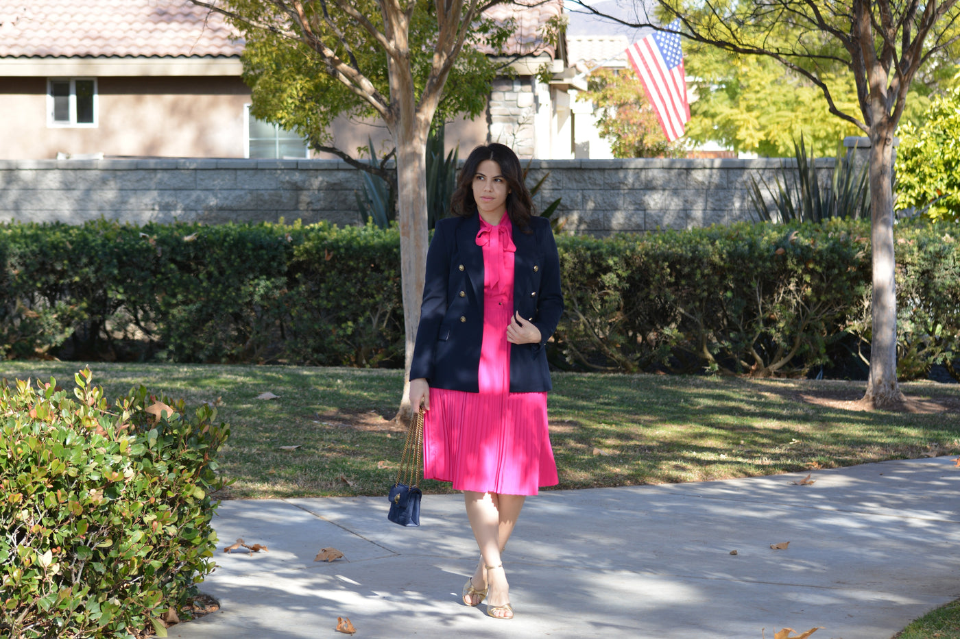 Britain Fuchsia Pink Dress