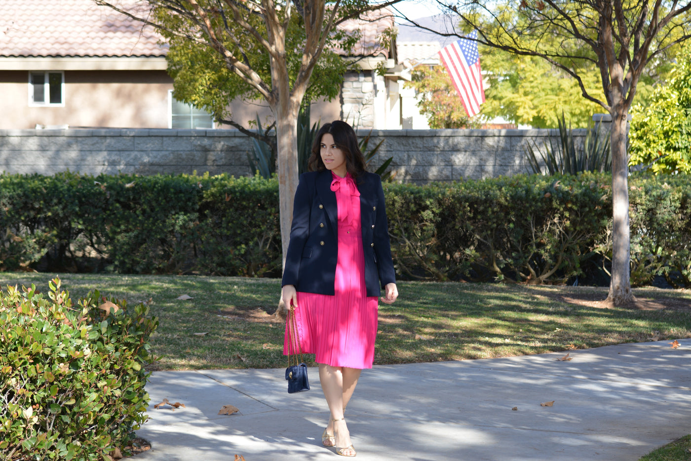 Britain Fuchsia Pink Dress