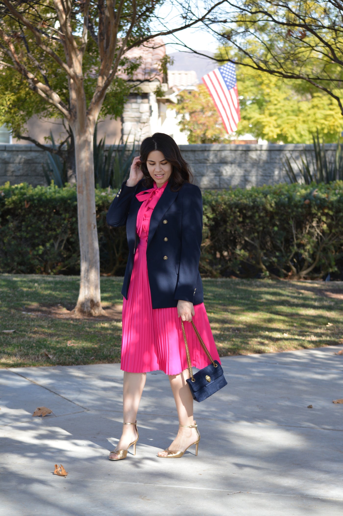 Britain Fuchsia Pink Dress