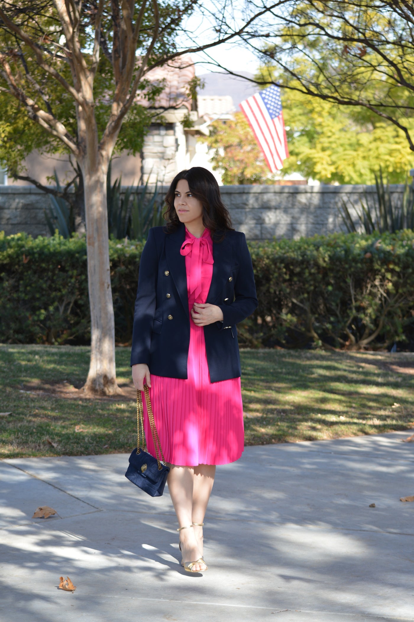 Britain Fuchsia Pink Dress