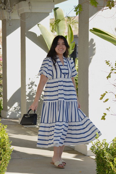 Evalina Navy Striped Dress