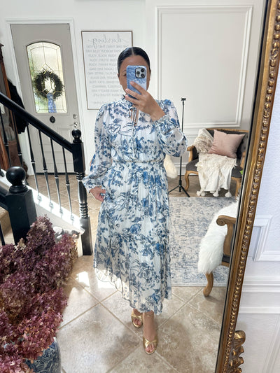 Taryn Blue Toile Maxi Dress