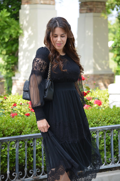 Cecelia Black Embroidered Tulle Dress
