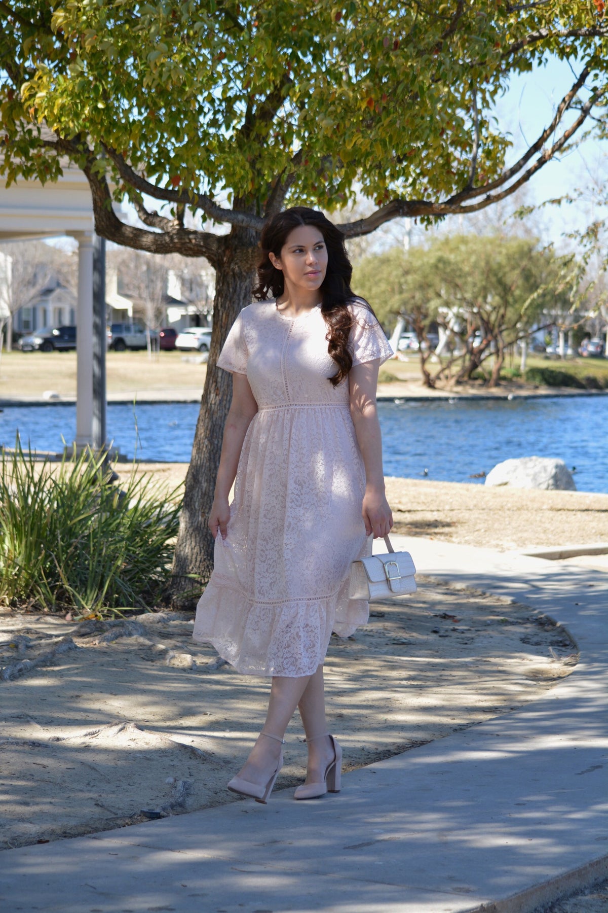Amalie Blush Lace Dress – Skirt Society
