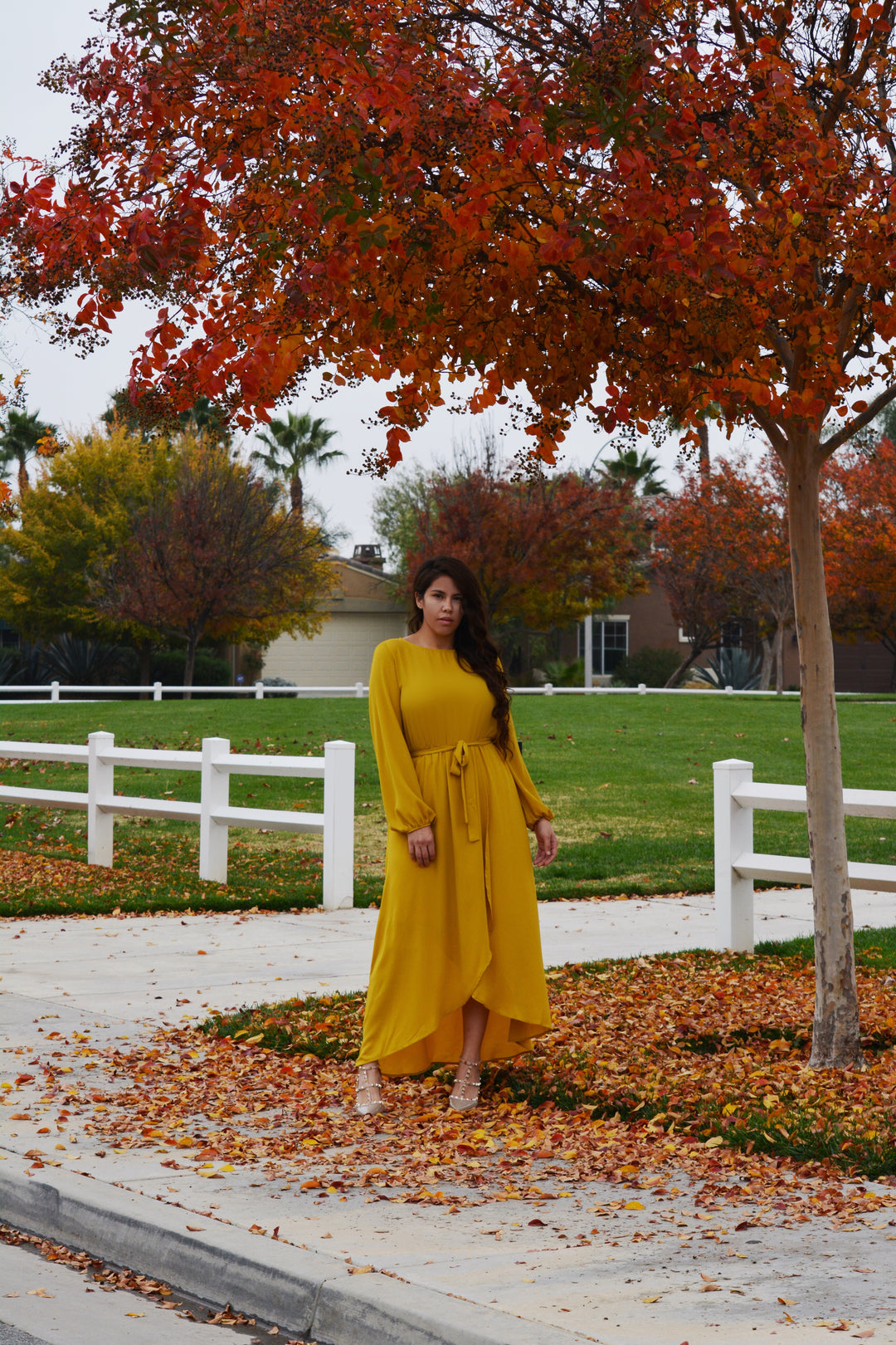 Paris Mustard Yellow Maxi Dress – Skirt Society Paris Mustard Yellow Maxi Dress – Skirt Society