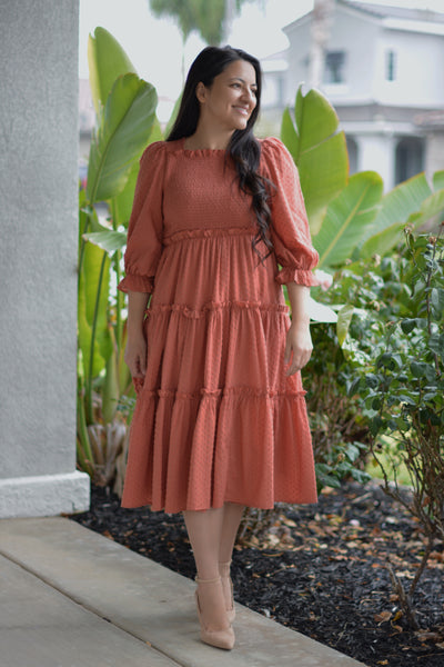 Briana Cotton Embroidered Clay Dress